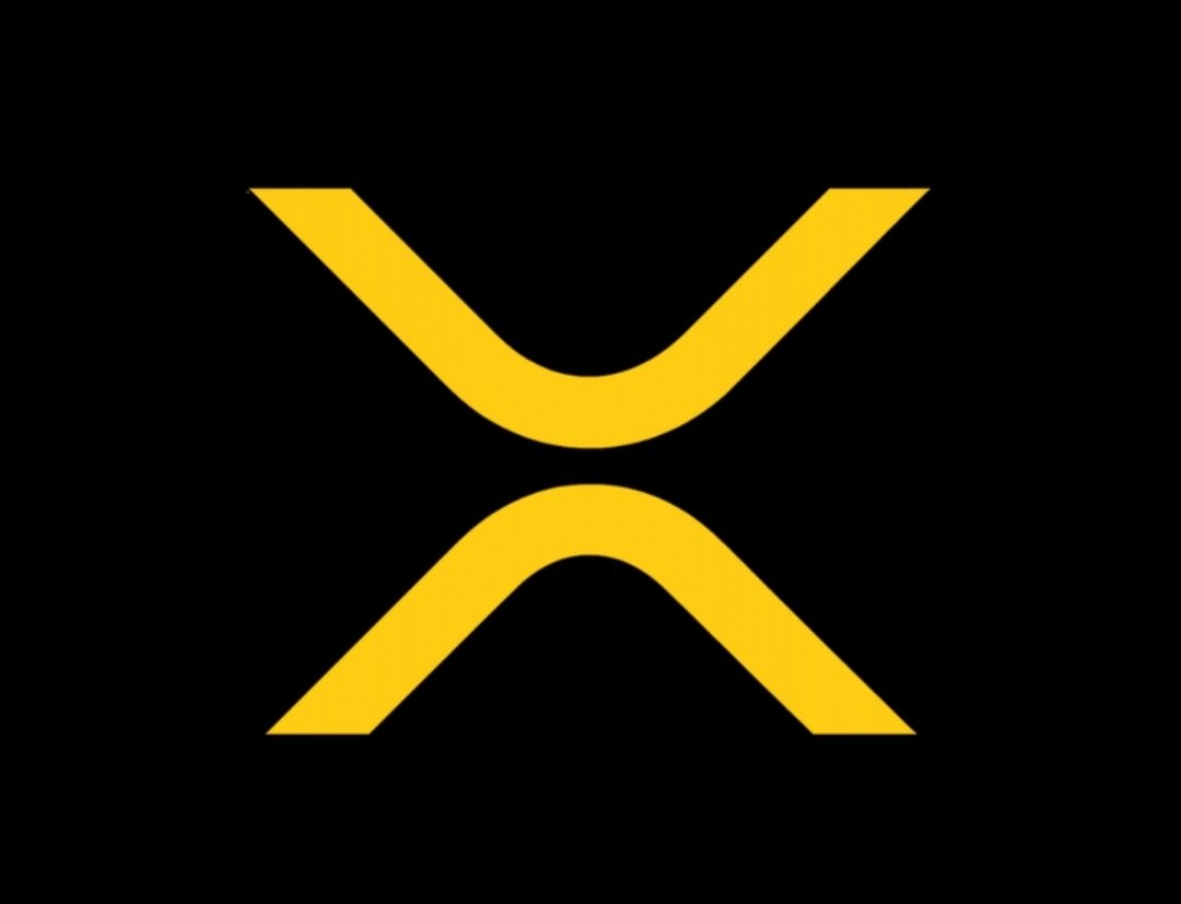 Kenny Nguyen tweet media