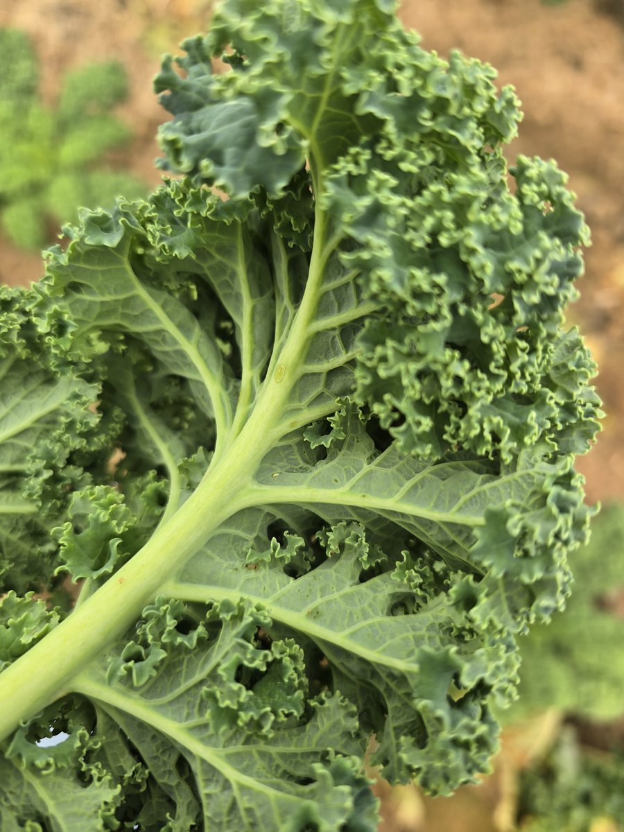 Tim Flanders tweet media