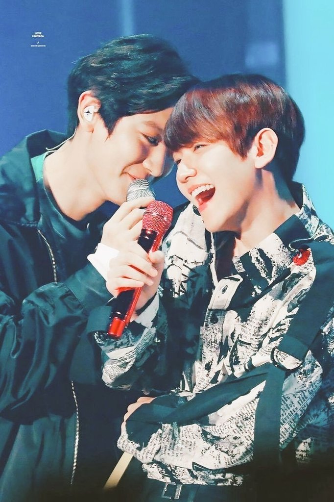 halcyon_614's tweet photo. Yeeeaaah 🫠 i ain't leaving this ship. 🫠 https://t.co/nRIapW2KJ8
