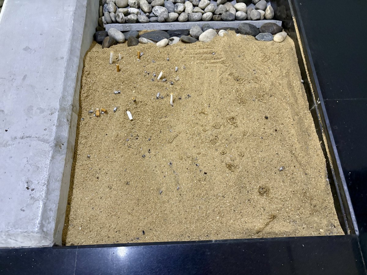 The building created this little garden beach type area. People put their cigarettes out in it. This is why we can’t have nice things.