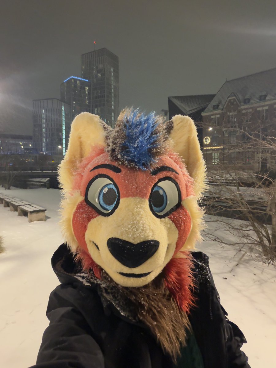 Pieberius tweet media