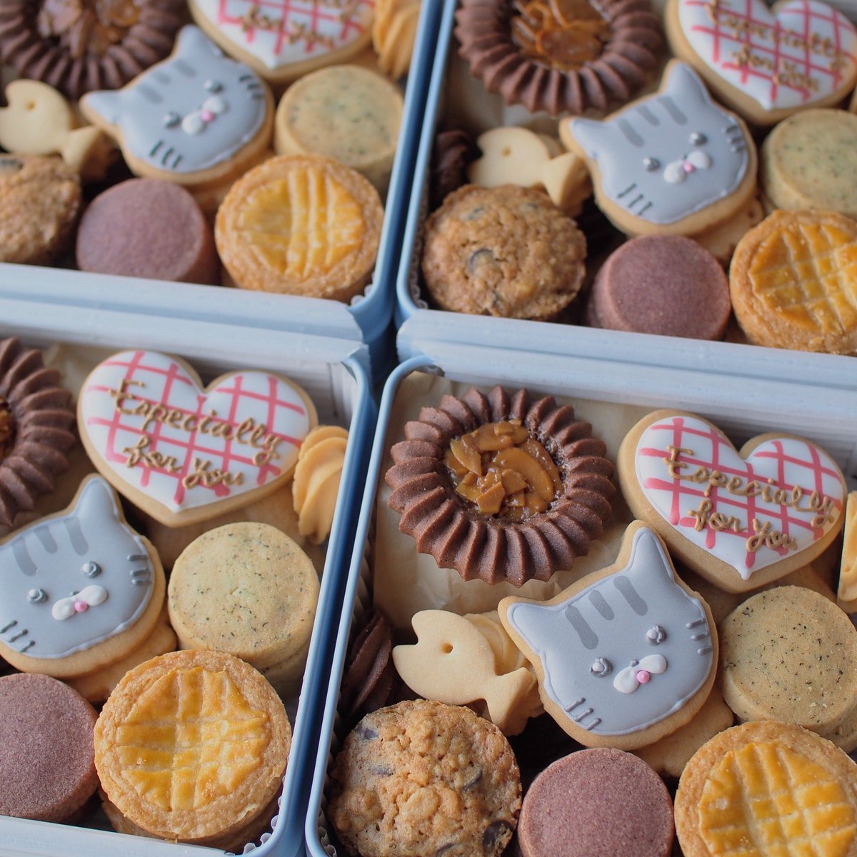 ibake_at's tweet photo. #ねこのきもちマルシェ
 
I BAKE ブースNO.53
1日目始まります🐈
よろしくお願いいたします https://t.co/jyfvKdzFOO