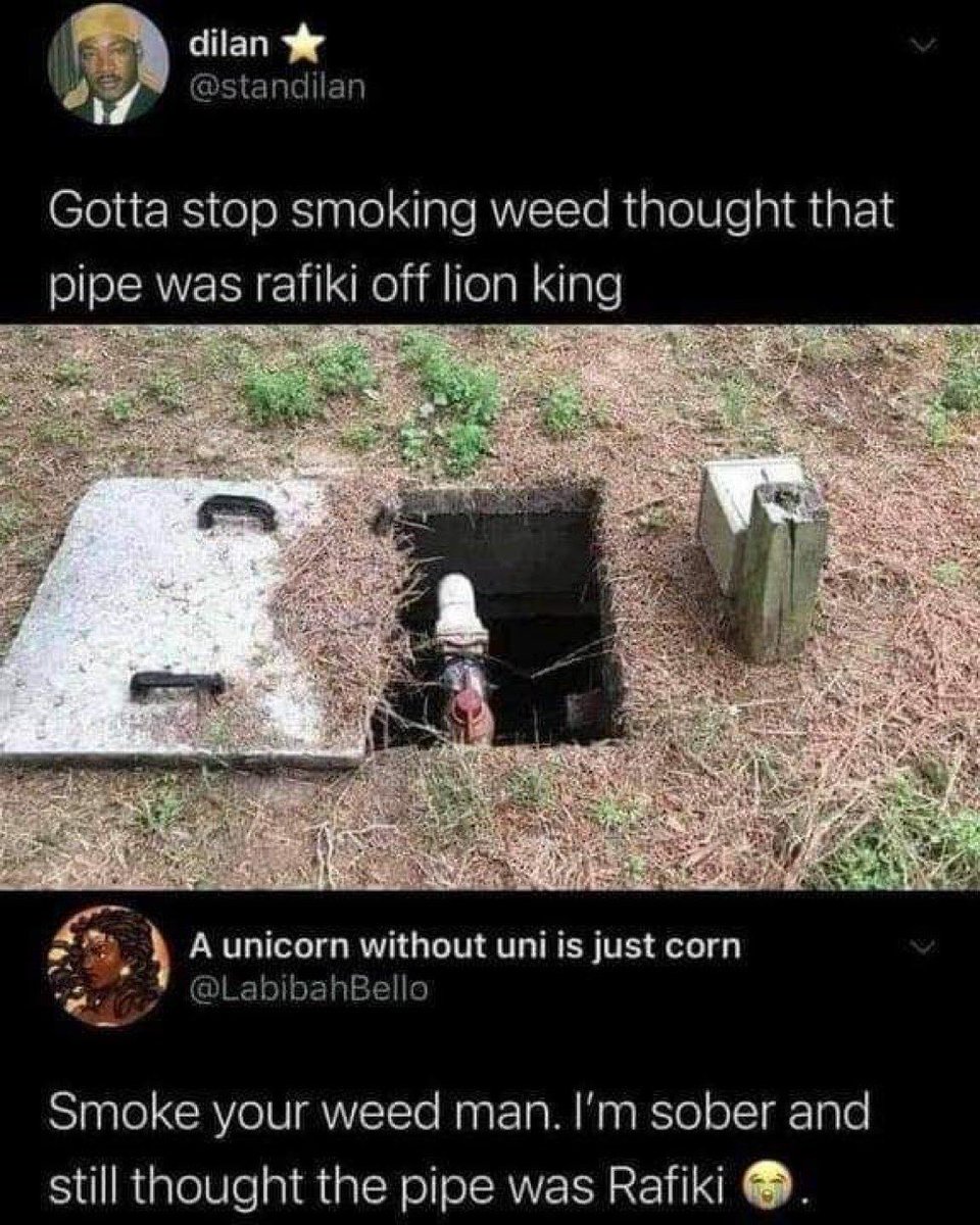 SwagKirb tweet media