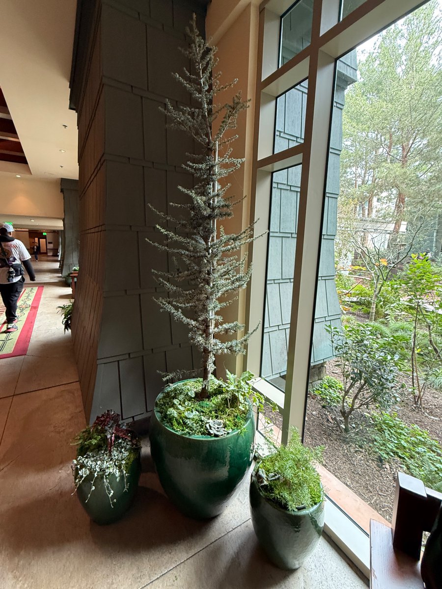 Huge shout out to Disney Grand Californian Hotel - special touches like fresh flowers and beautifully planted ceramic containers add a lot to this already gorgeous place. <a href="/Disneyland/">Disneyland Resort</a>