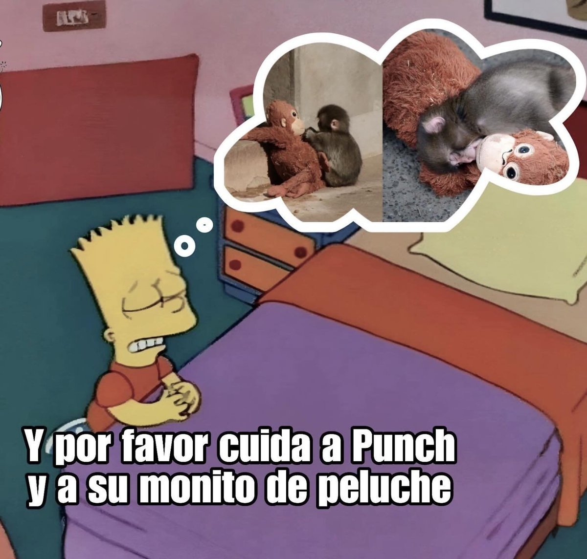 RincnCuriosoo's tweet image. 🙏🏻🥹