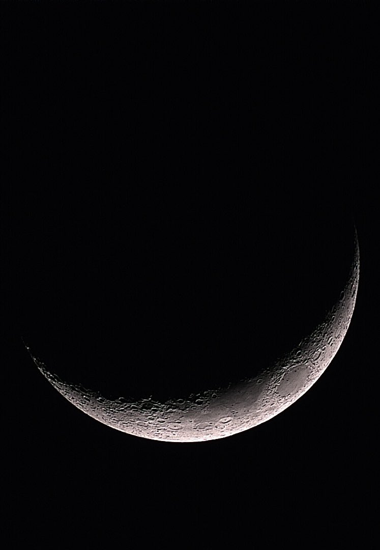 Tom Williams tweet media