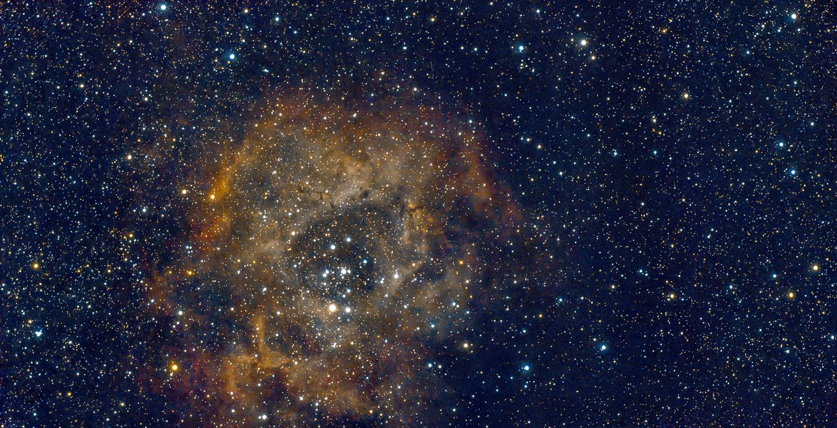 Tom Williams tweet media