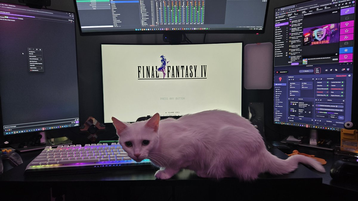 Stream checks are being done by top purrfessionals.