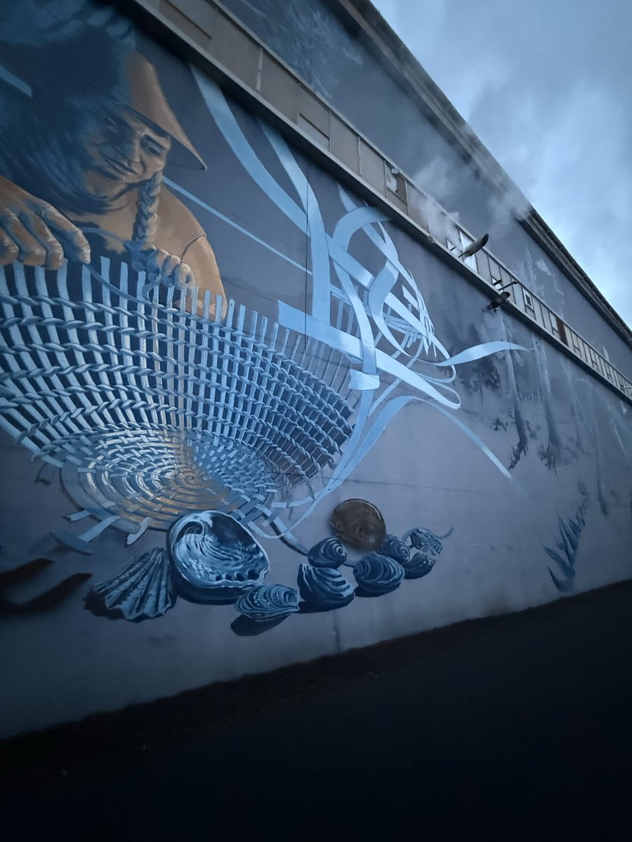 Mia Ireland tweet media