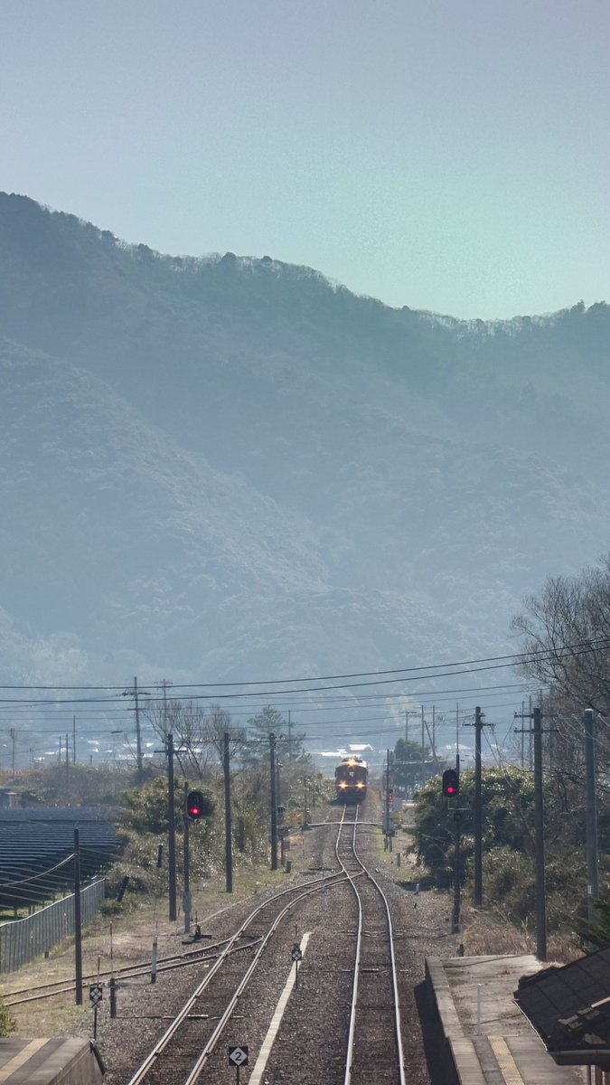 CutKappa's tweet image. ね、くすととれいん