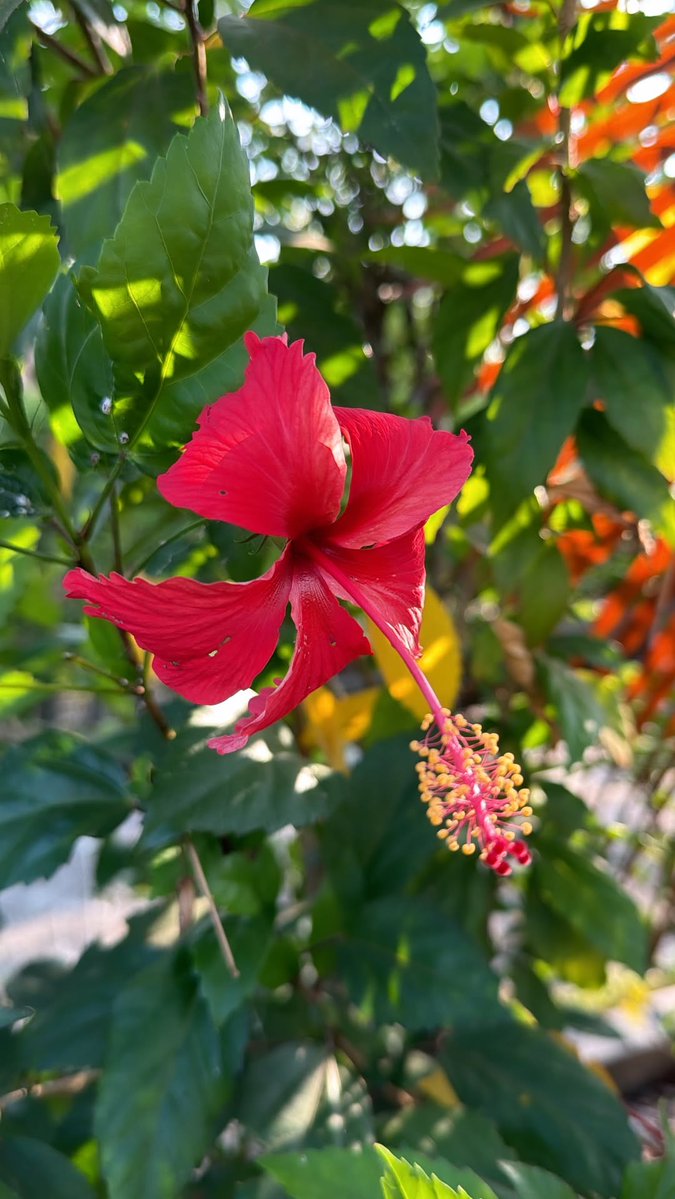 🌸

IGs — khaotungg (update)

#khaotungg #เด็กน้อยของขต