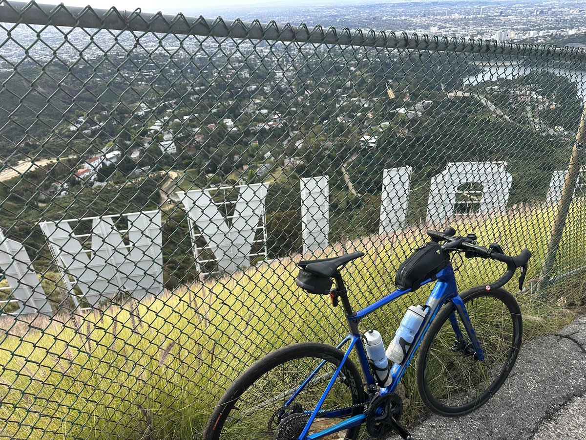 Travy Haqqani tweet media