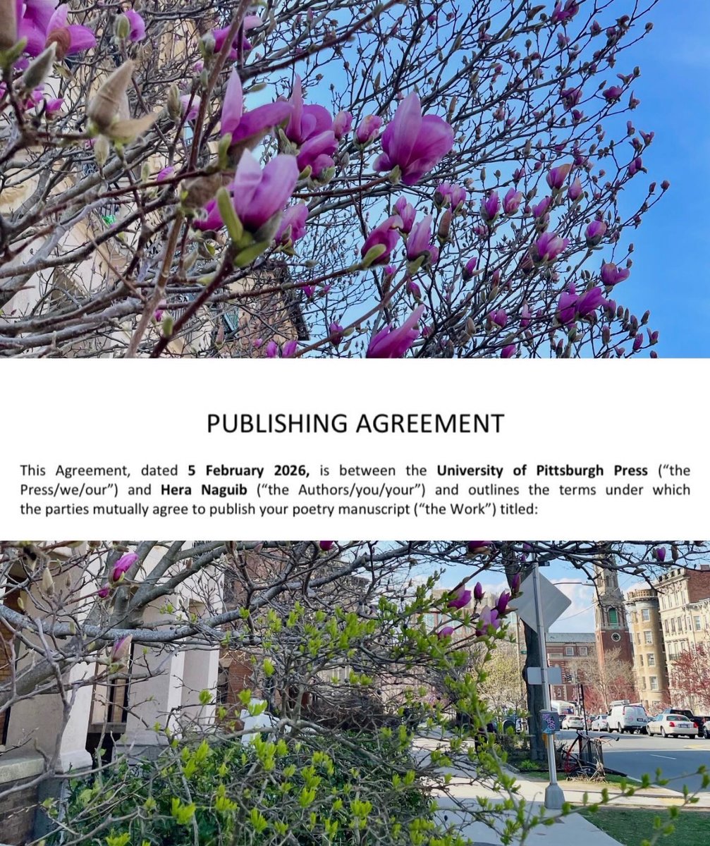 I’m frightened and thrilled that my debut poetry collection RUPTURE ANTHEM will be published by one the finest, the Pitt Poetry Series (University of Pittsburgh Press) in Fall 2026. My eternal gratitude to those who have believed in my work through the years.