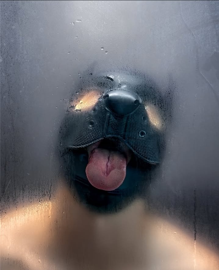 siempre metiend0 la lengua d0nde n0 debería  🐶🔥👅