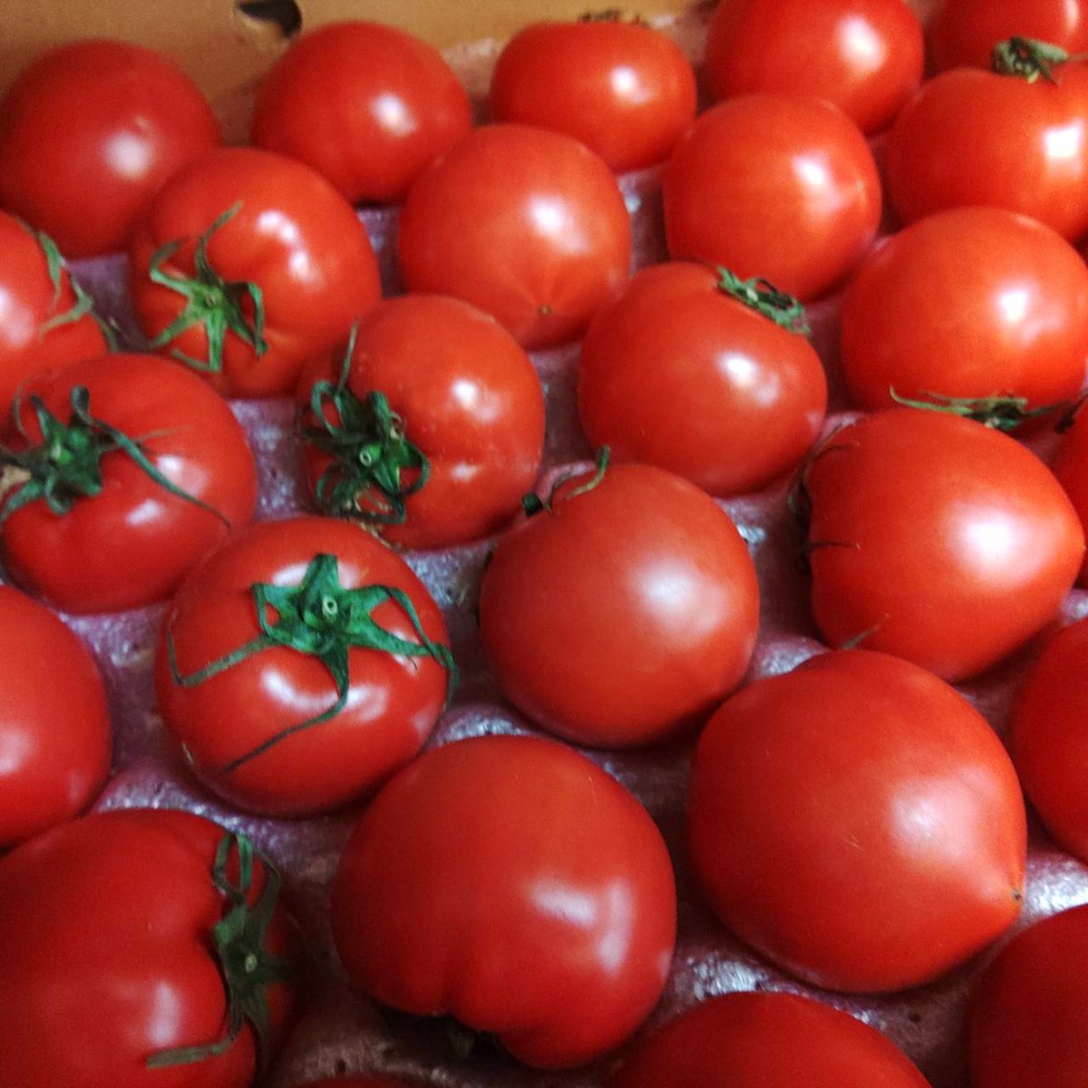 宮崎県より 特選フルーツトマトが届きました🍅 糖度が高く甘さは抜群