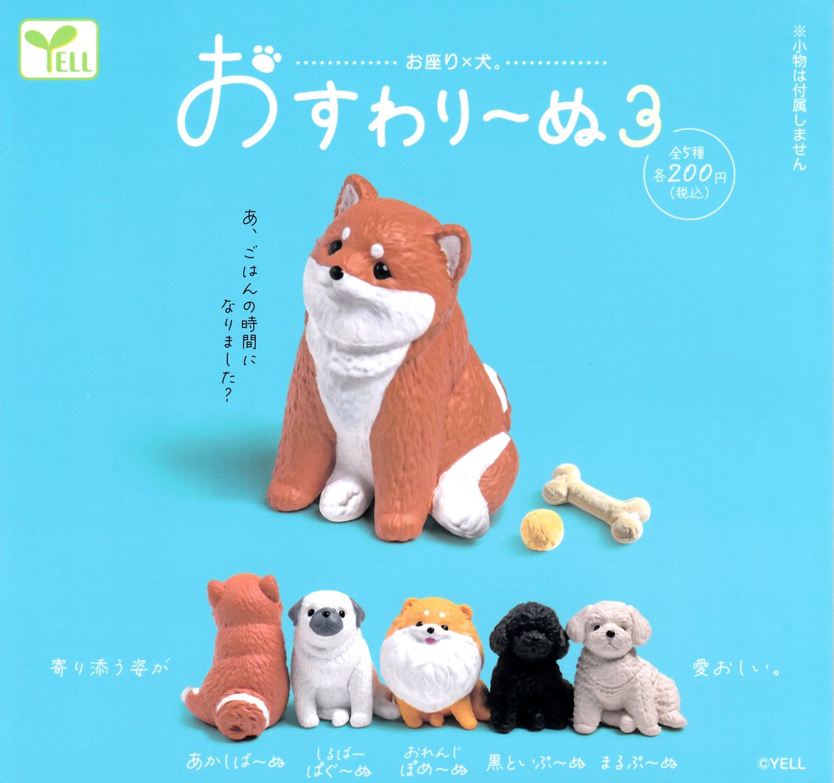 2月21日(土)⚽️入荷情報④⚽️ 🐶おすわり〜ぬ 3 🐱御意 -ぎょい