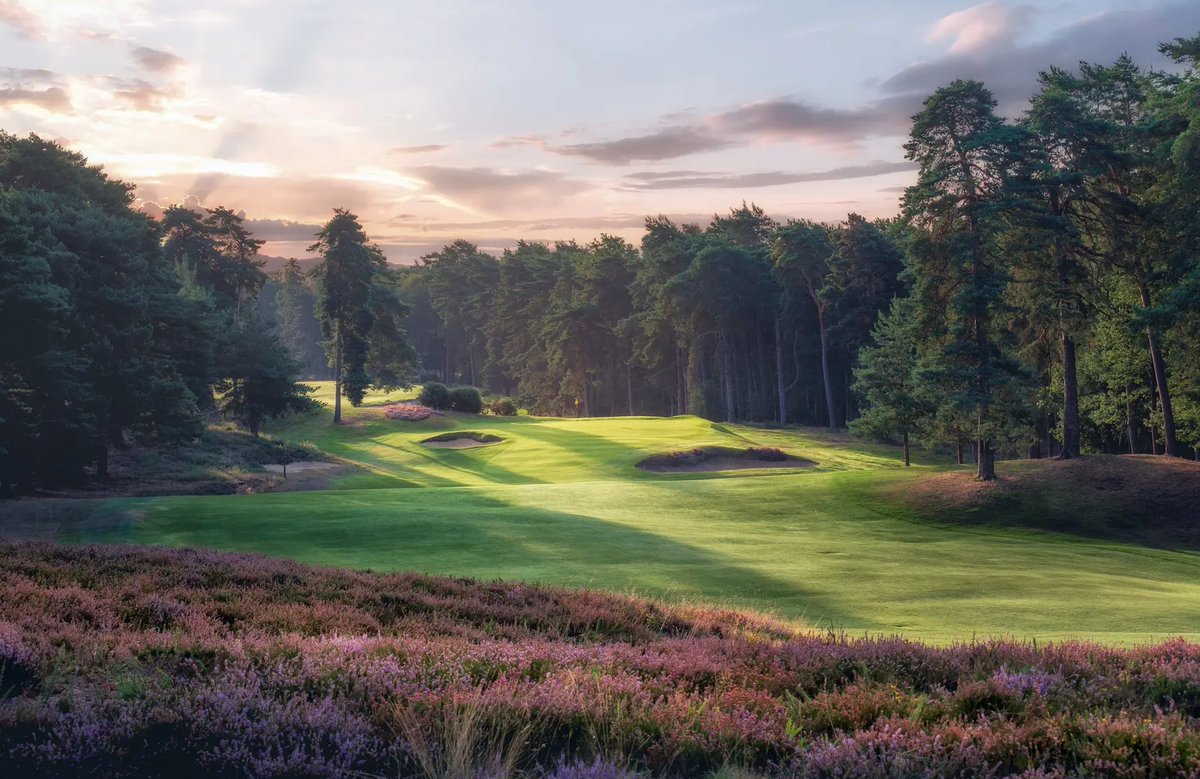 Fairway Journal tweet media