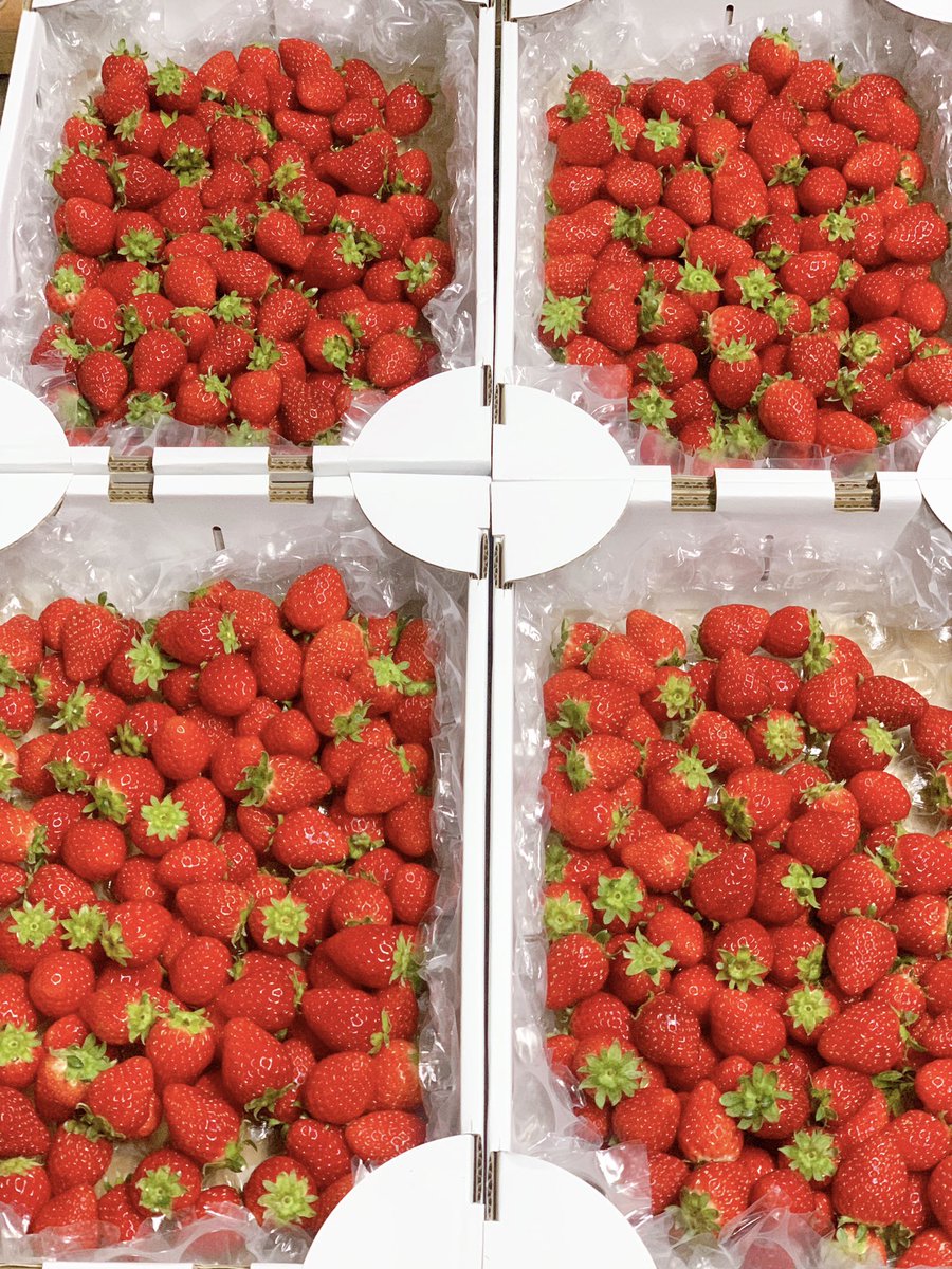 いちごぉぉぉぉおおおおお🍓🍓🍓🍓🍓🍓(2箱はそのまま食べます😋)