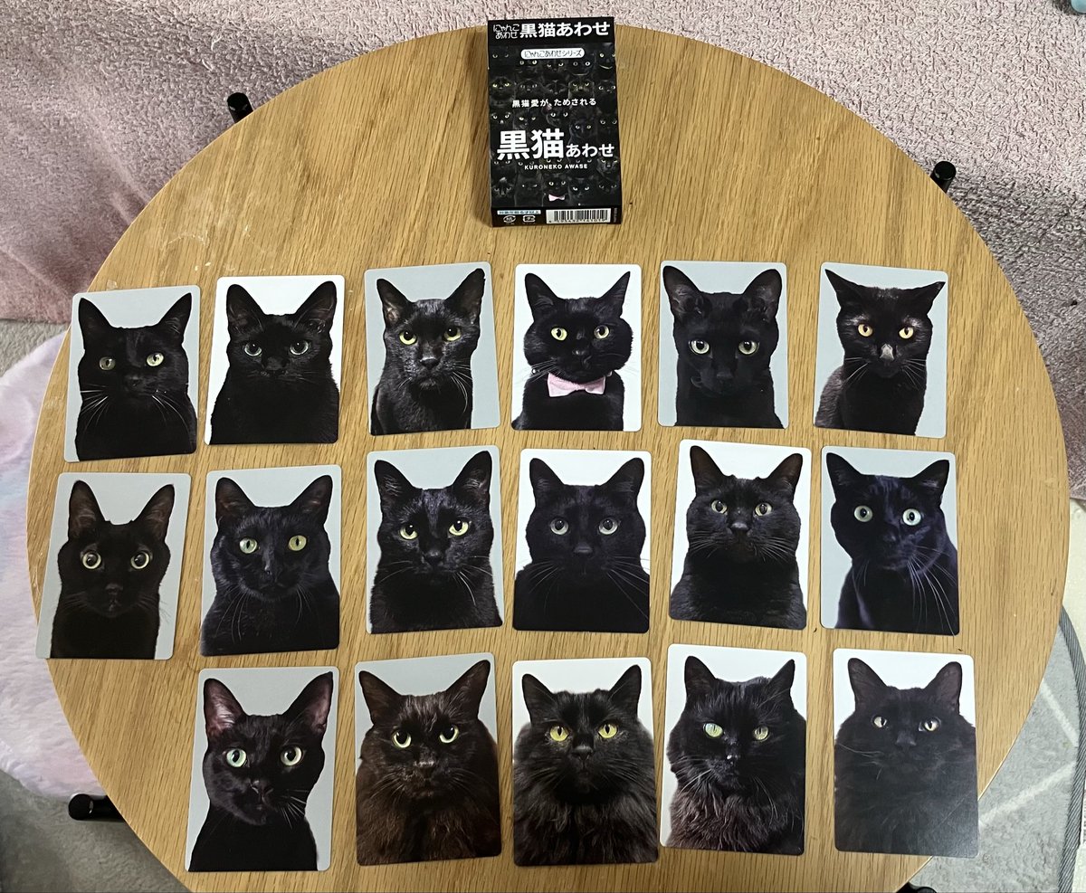 黒猫好きとしてはやらない選択肢はない『黒猫あわせ』をついに入手。
似ているようで似ていないようでやっぱり似ている黒猫ちゃんたちの中から同じ黒猫ちゃんペアを見つける"黒猫神経衰弱"はとんでもない高難易度。
ワイワイ盛り上がって楽しかった🐈‍⬛