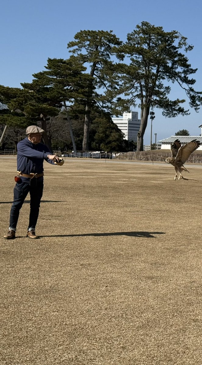 jfalconry's tweet photo. 明日は金沢城 https://t.co/6v4N8VSRnl
