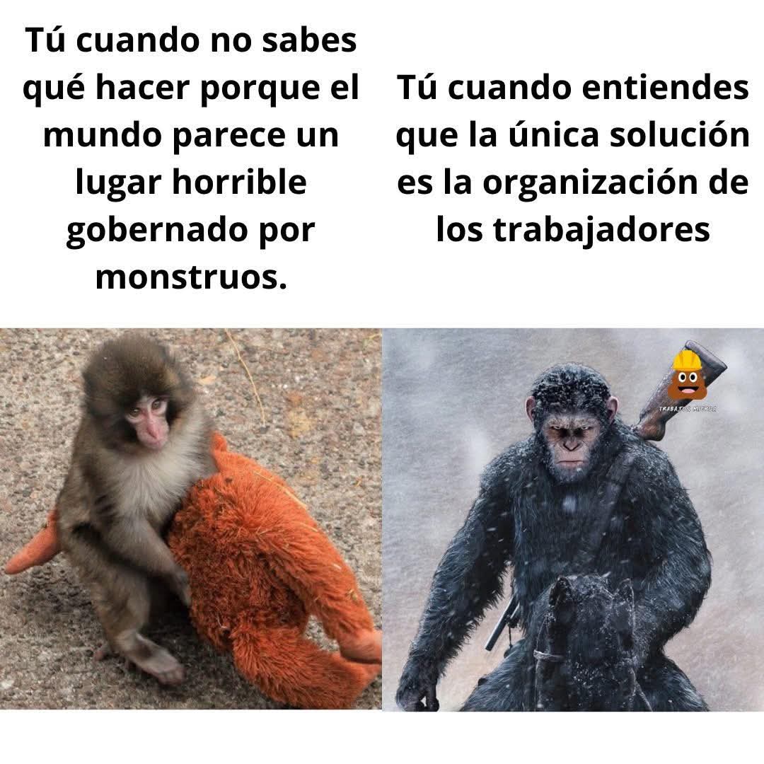 La única solución es la clase trabajadora.