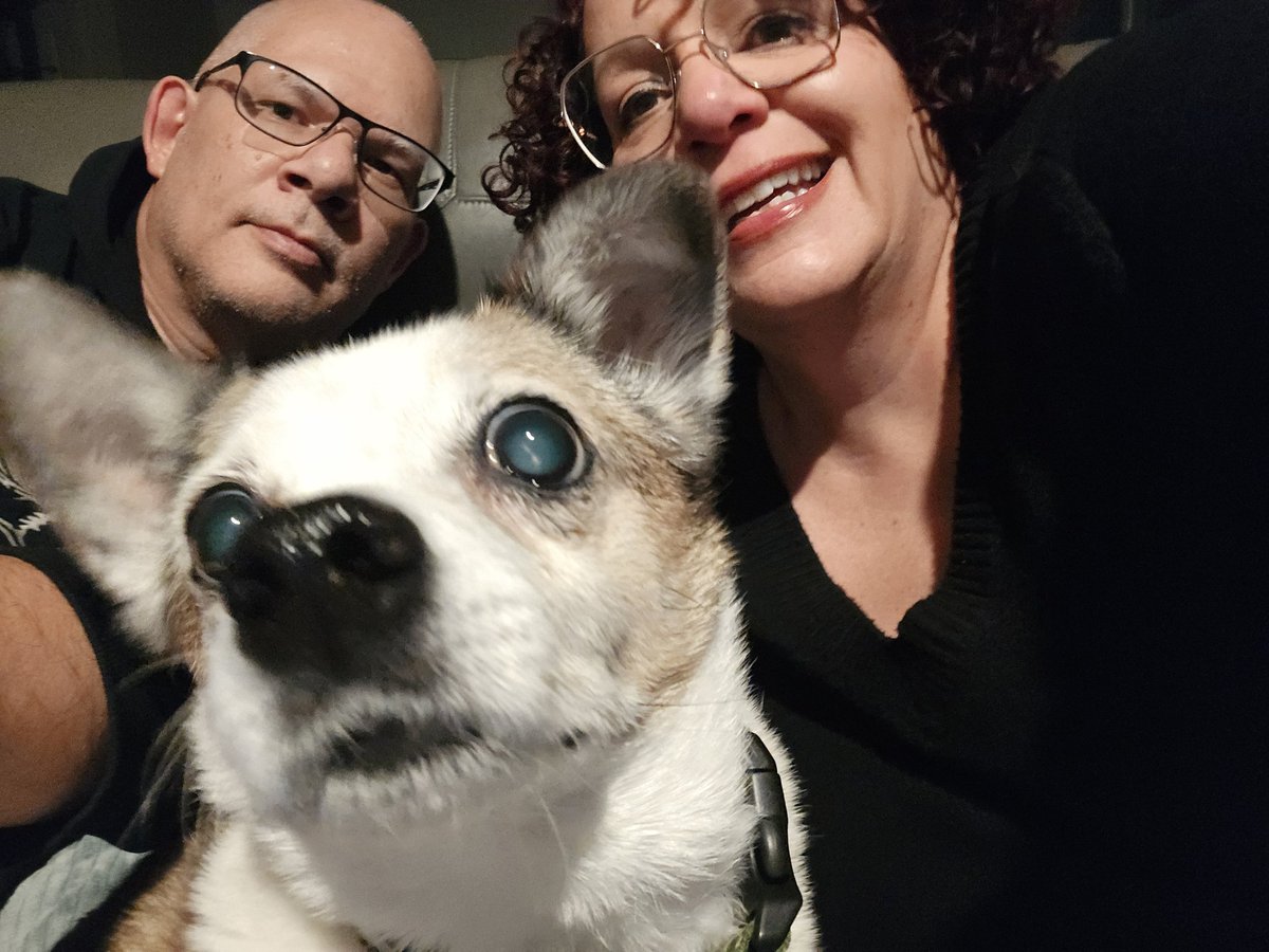 IvyPR 🇵🇷 🇺🇸⚖️🐾 tweet media