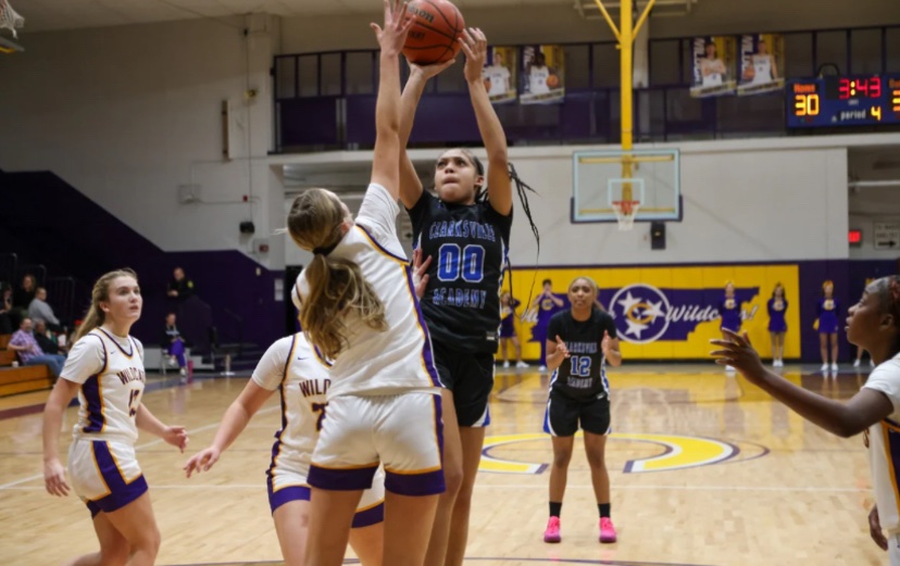 CA_COUGARS_GBB tweet media