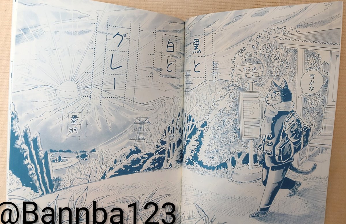 表紙はエスプリエンボスアラレ、本文は紺色に近いインクです。この