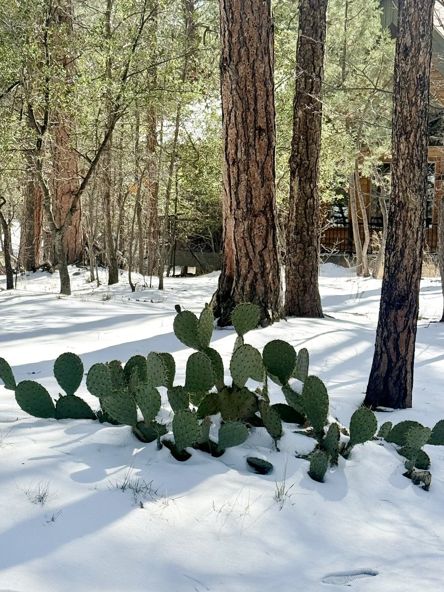 Nick Kupper tweet media