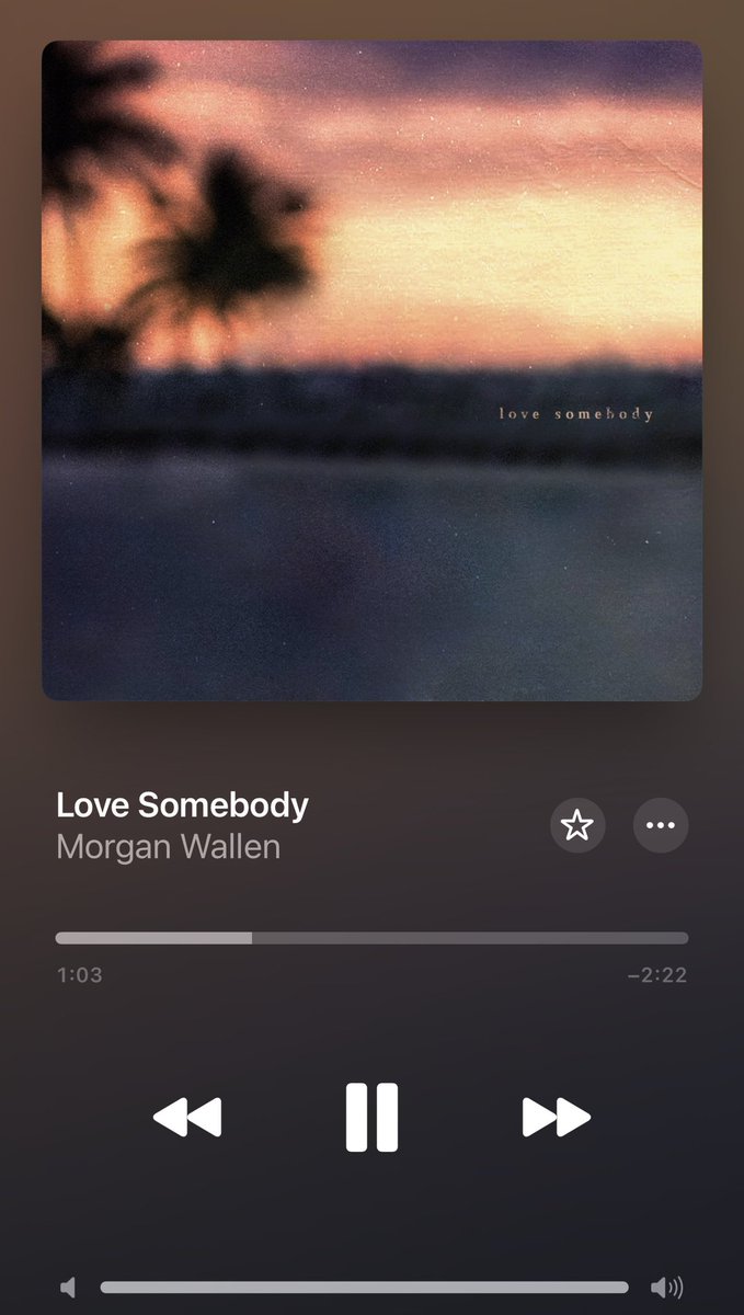 This song is such a vibe by amazing artist <a href="/MorganWallen/">morgan wallen</a> I absolutely love this song and it’s just so amazing and it such a vibe. i listen to this everyday even when i travel with my mom. Can’t wait to see you in July and i’m excited to go my first ever concert. 🐐❤️🔥