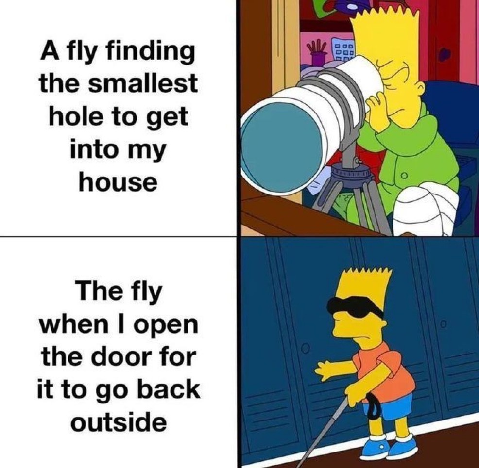 star 💫 tweet media