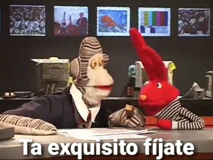 Mateo Bocelli #GalaViña2026