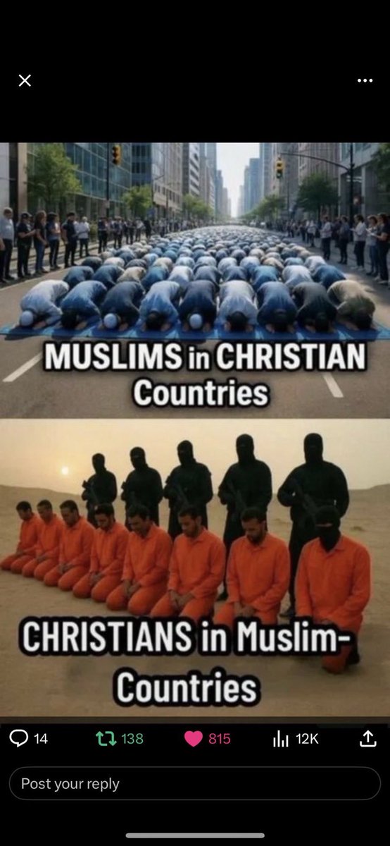 TheFoxesSay tweet media