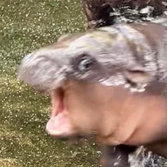 현(HYeoN)🎨🕹 tweet media