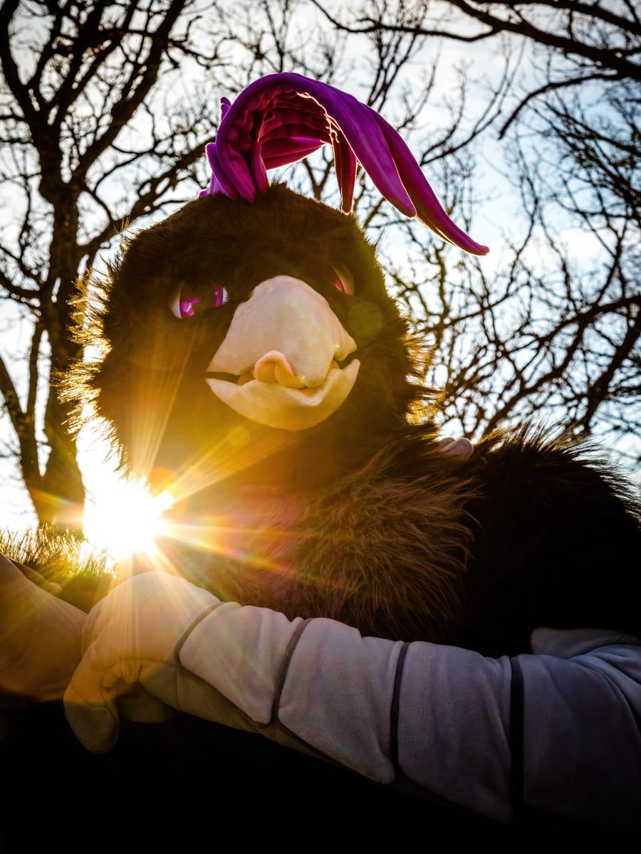 Dr. R Aven ➡️ FWA tweet media