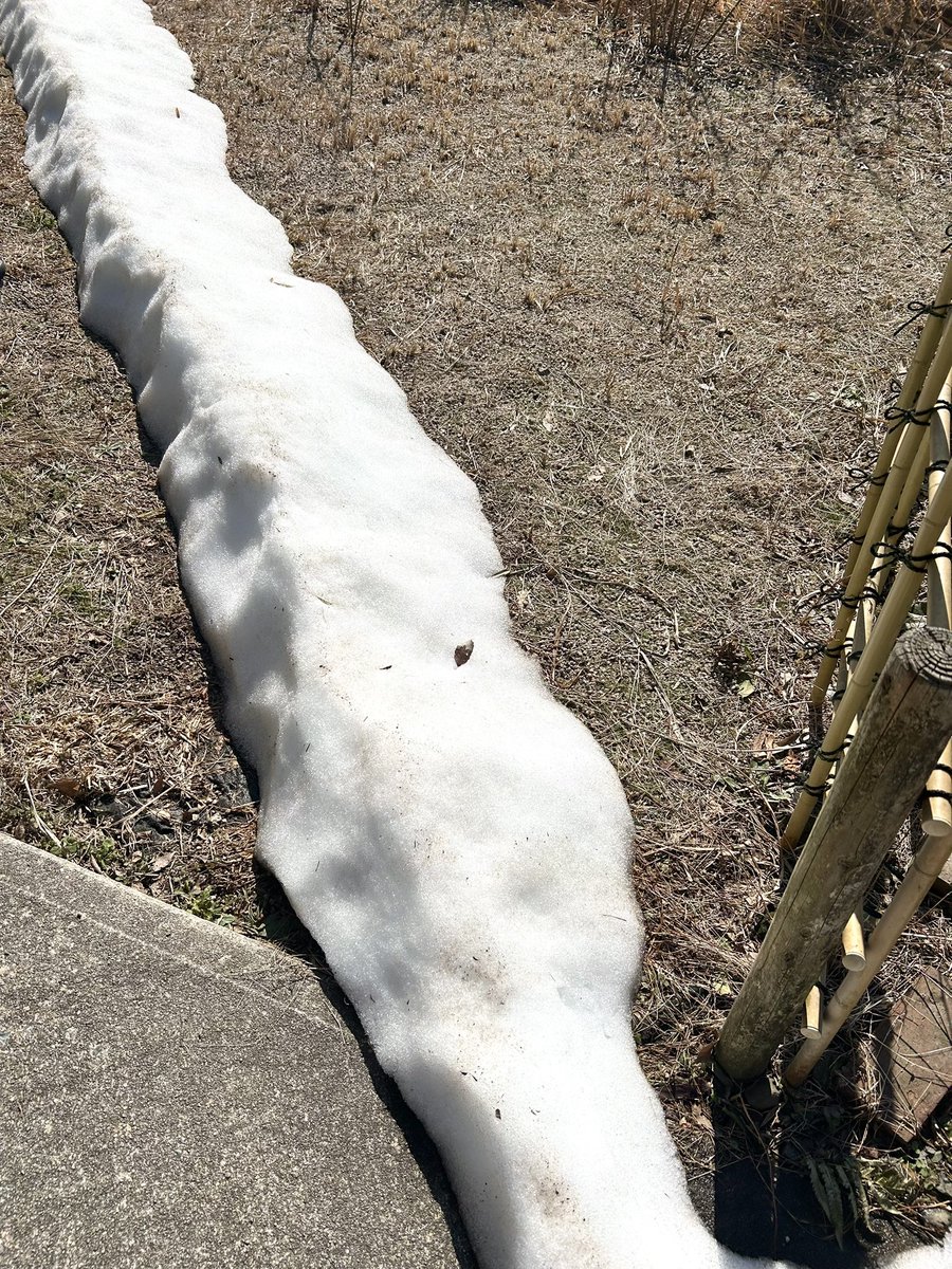 2週間前に降った大雪がまだ残ってたので、
雪だるまを作っておいたw⛄️