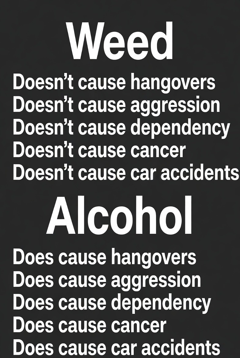 _StonersRUs_'s tweet photo. Weed Vs. Alcohol https://t.co/ZcSpa4N9YE