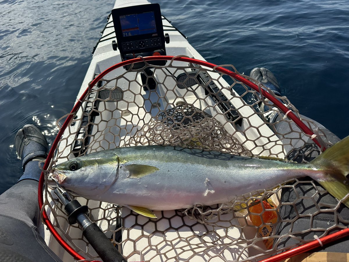 コテカ tweet media