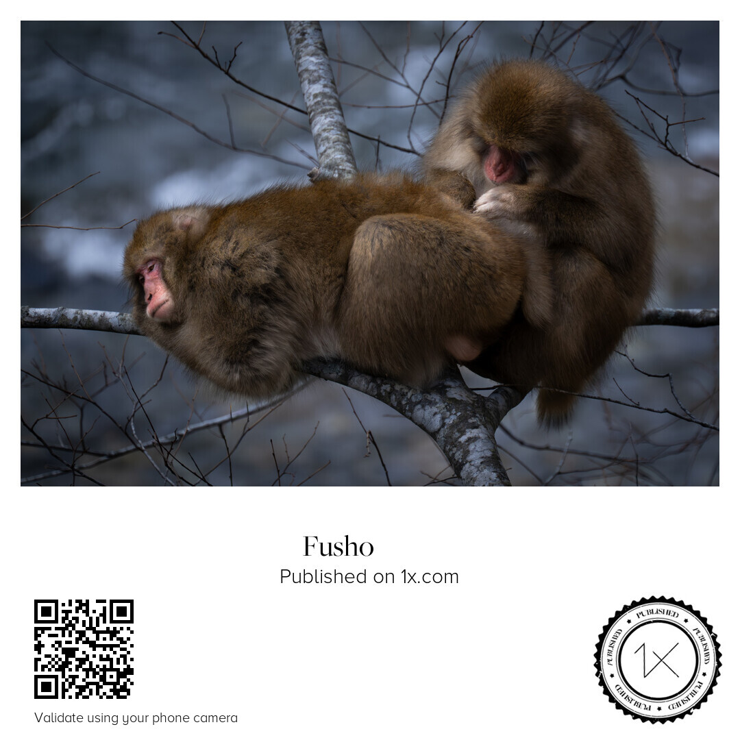 181th Publishedいただきました