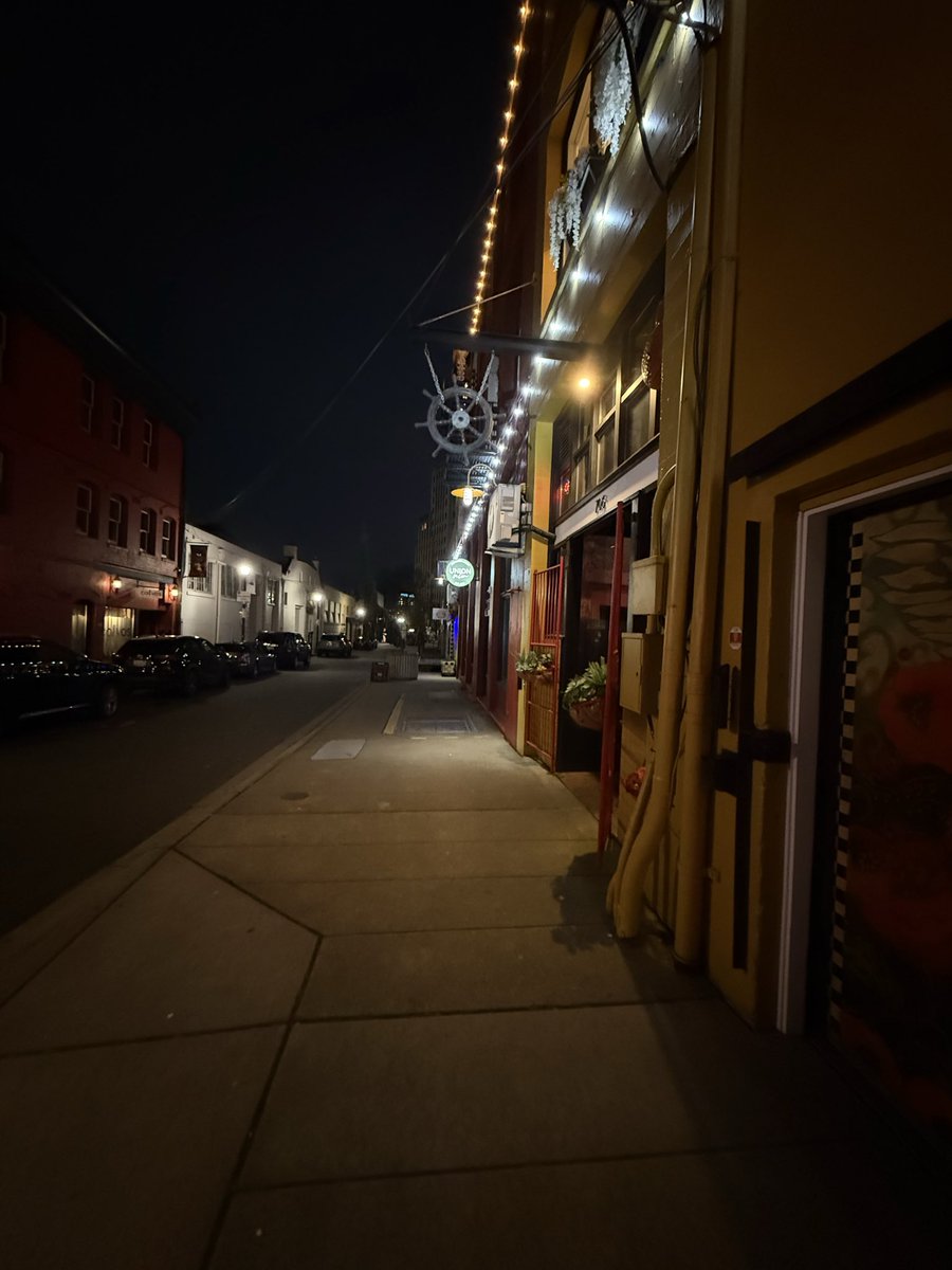 Mia Ireland tweet media