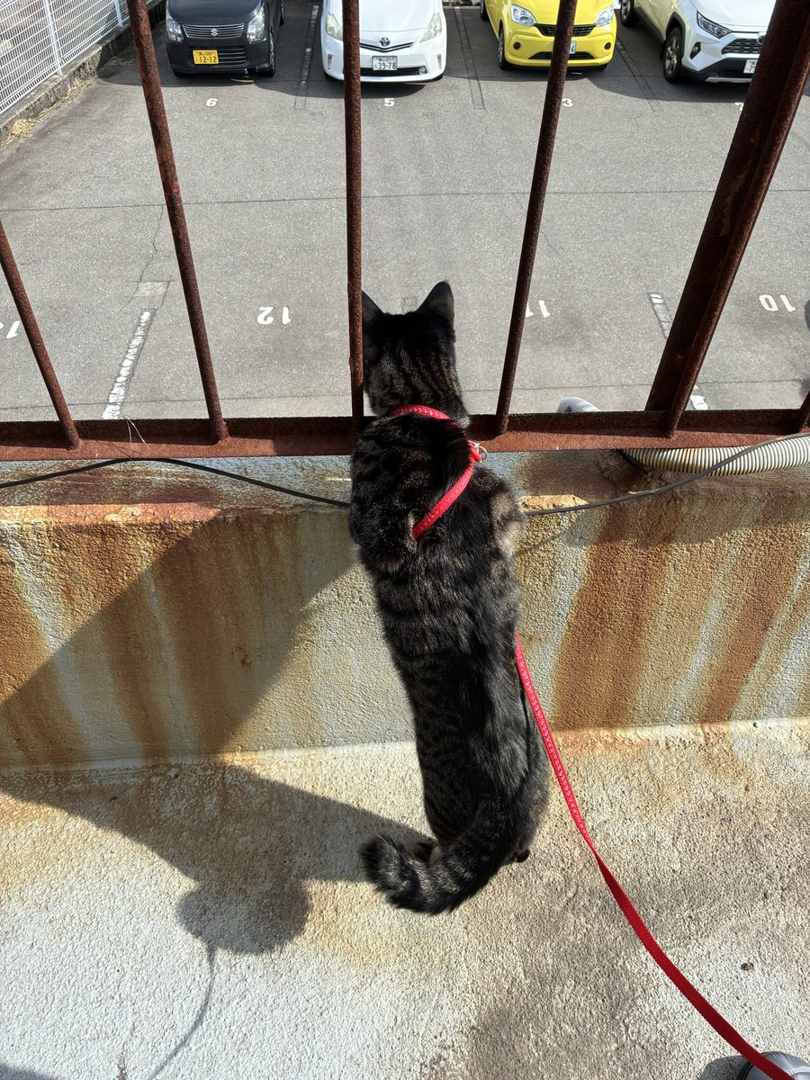 日向ぼっこ日和です
3連休はやってます