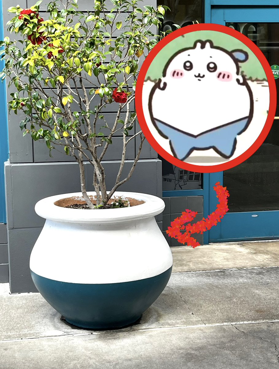 Loloyd (@frpunkjack) on Twitter photo 