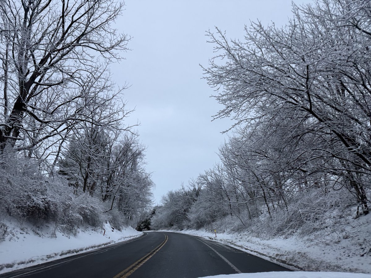 Michael Ferrari tweet media