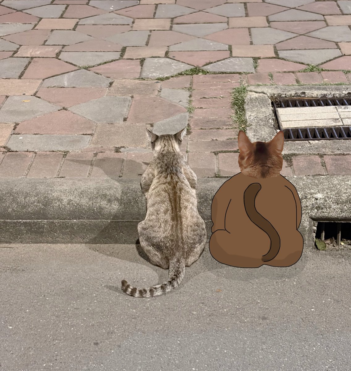 melon_gummy's tweet image. やさしいりおんぬ🐱🐱
#LEONLEE #Leon #리언