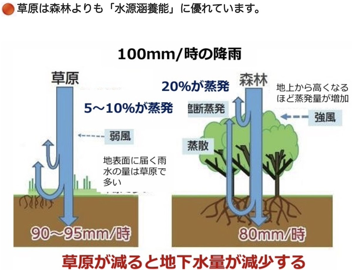やっぱり、草原は森林よりも「水源涵養」の機能に優れているようです。ソーラーパネルを設置すれば蒸発がさらに少なくなります（ゴルフ場跡のメガソーラーのような場所）。