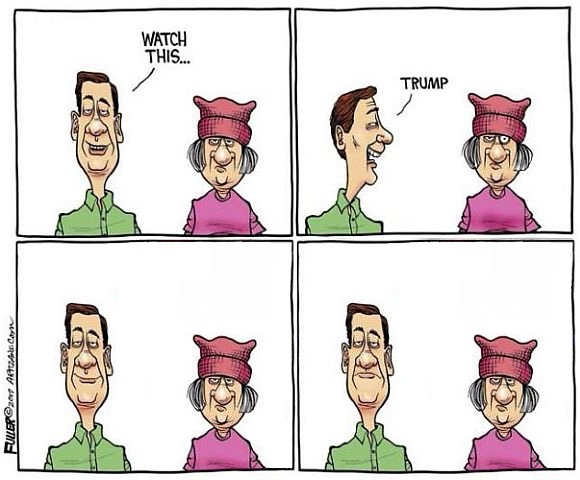 opossum_kingdom's tweet image. 