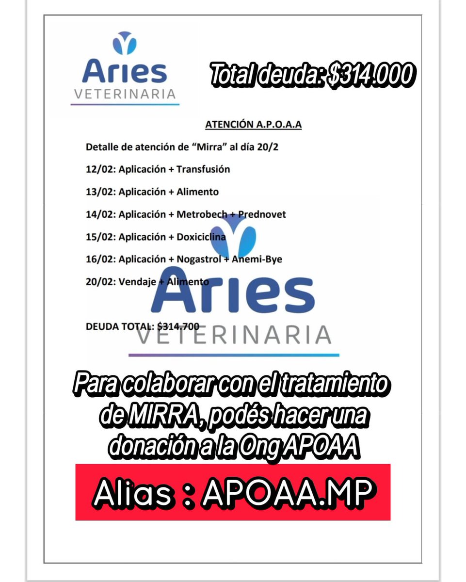 #Olavarria
#Mirra
Mirra sigue mejorando, día a día, gracias a Protectora APOAA que se hizo cargo de TODO cuando nadie lo hacía.
Hoy hay una deuda de $314.000 en la Veterinaria Aries donde ella estuvo internada y le hicieron transfusiónes y tratamientos y estudios.
Entre todos