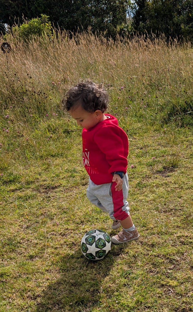 Daniel Forero tweet media