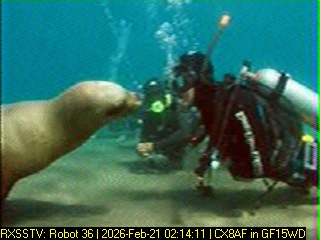 Horacio Rasetti tweet media