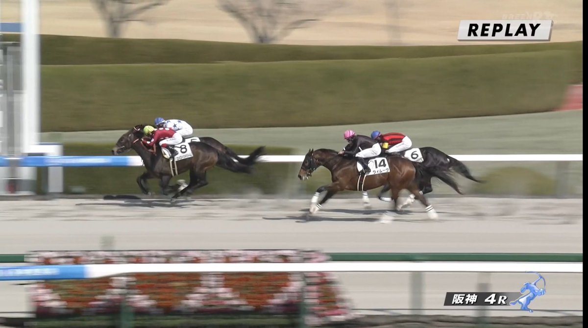 内に5がいなきゃ完璧な1.2.3決着だったんやけどなぁ、レース番号間違え